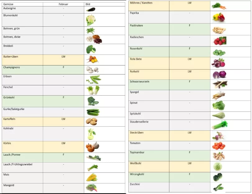 Saisonkalender für Gemüse