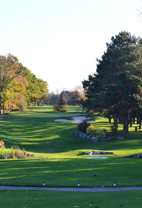 Golfplatz im Grünen