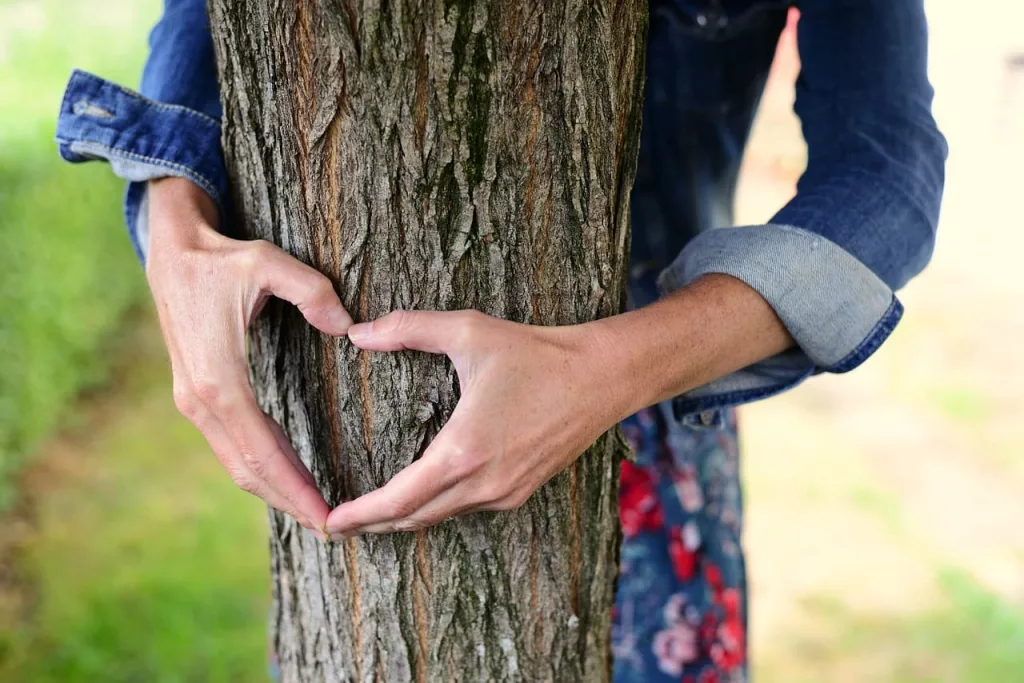 Die Liebe zur Natur bedeutet auch sie zu pflegen.