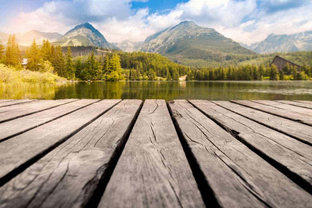 Vom Holzsteg über Wasser zum Wald